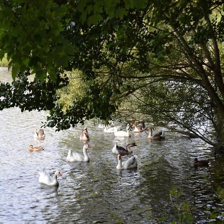 ווילסלאם La Terrasse Du Lac מראה חיצוני תמונה